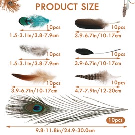 MARFOREVER 100 Pcs Natural Pheasant Feathers, 7 Styles Bulk Feathers Peacock Feathers Turkey Feathers for Crafts DIY Hat Floral Arrangements Wing Quill Wedding Home Party Decorations