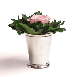 ROSEMARIE SCHULZ Heidelberg Infinity Flower in Silver Cup 1 Eternal Rose Preserved Bouquet Long Lasting (Pink, 1 Rose)