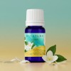Aceite Esencial Jazmín 10 Ml Bnature Puro 100% Natural