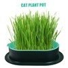 Levemolo 5Pcs Soilless Cat Grass Planter Set Hydroponic Catnip Box