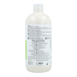 SANTE Naturkosmetik Refreshing Shower Gel with Citrus Fragrance, Moisturising Shower Care for Smooth Skin in Advantage Size, with Organic Pineapple and Lime, Family Shower Gel, 1 x 500 ml