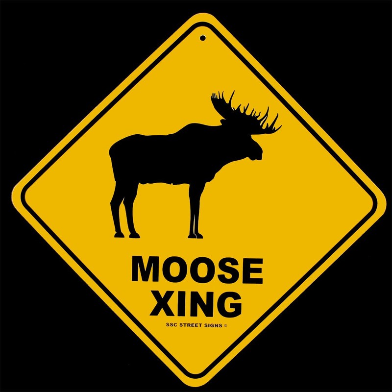 Treasure Gurus Moose Crossing Log Cabin Lodge Decor Alum Street