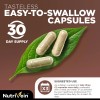 Nutrivein 11 Mushroom Blend Immune Support Herbal Supplement 90 Capsules