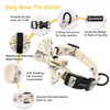 Dog Harness and Leash Collar Set with Dog Poop Bag