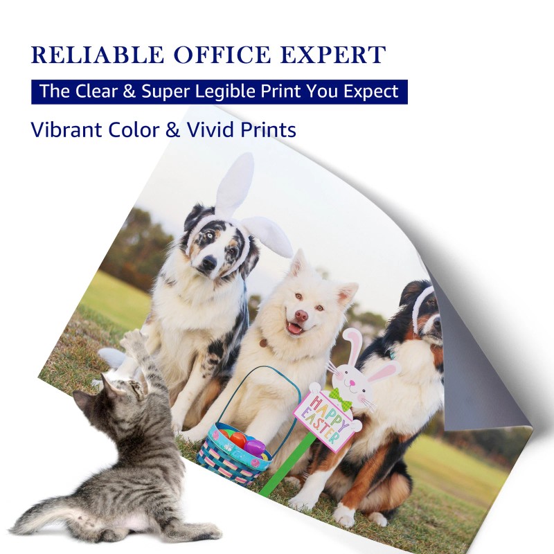 MOOHO 4 Pack Reman Black Ink Cartridges for Epson 202XL