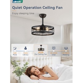 LEDIARY 18 inch Black Caged Ceiling Fan with Light, Bladeless Industrial Ceiling Fan with Remote, Farmhouse Fan Lights Ceiling Fixtures for Kitchen, Bedroom, Outdoor（6 Speed, Timing）-Black