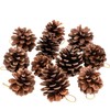 Whaline 25 Pcs Christmas Natural Pine Cones, Rustic Pinecones Bulk