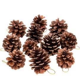 Whaline 25 Pcs Christmas Natural Pine Cones, Rustic Pinecones Bulk Ornaments with String for Crafting for Home Accent Decor, Fall Thanksgiving Tree Decoration (1.6-2.4 Inches)