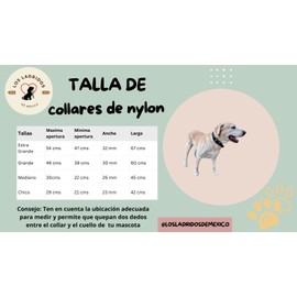 Collar para Perro De Naylon Resistente Entrenamiento Y Paseos Cómodos (Verde Fosfo, Extragrande)