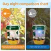 4 Pack Solar Wasp Trap - Eco-Friendly Insect Control