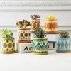 COLOAPT Succulent Plant Pots - 3.1 inch Ceramic Succulent Planter