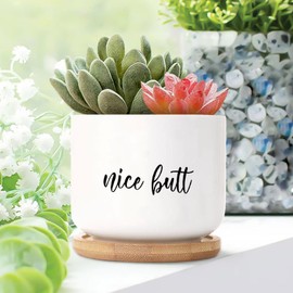 DecStic Nice Butt Ceramic Planter Literary Quote Planters for Indoor Plants with Drainage Holes and Saucers Pot for Home Office Desk Garden
