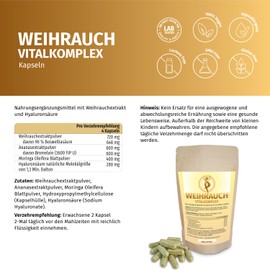 Frankincense Vitalkomplex 480 Capsules High Dose with 648 mg Boswellic Acid and 600 mg Bromelain (3600 FIP U) for Freshness, Care and Balance - Natural Active Ingredients for Your Feeling Vegan (480)