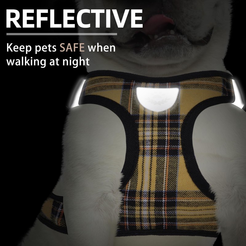 PUPTECK Adjustable Dog Harness Collar and Leash Set Step in