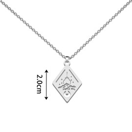 Acota Necklace Velariis Thorns Rose Jewelry Bookish Gift S-Jm Merch Night Court Necklace Jewelry (acota-r necklace 1uk, Sterling Silver)