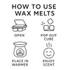 Willow & Wicks Wax Melt 6-Pack – Seasonal Showcase Bundle