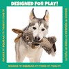 Pet Factory Shake & Squeak Critter Tugz Plush Dog Toy,