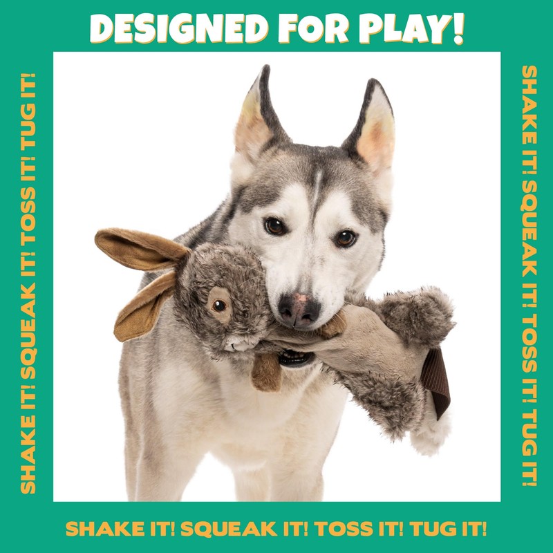 Pet Factory Shake & Squeak Critter Tugz Plush Dog Toy,