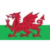 Wales Welsh Dragon Flag MASSIVE 8'x5' (2.4m long!)