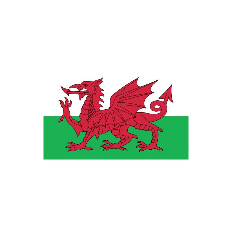 Wales Welsh Dragon Flag MASSIVE 8'x5' (2.4m long!)