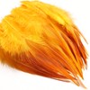 Feathers for Crafting,240pcs 5-7inch Golden Yellow Craft Rooster Feathers,Saddle Hackle