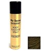 My Secret Correctives Root Touch-Up Spray - 2 oz -