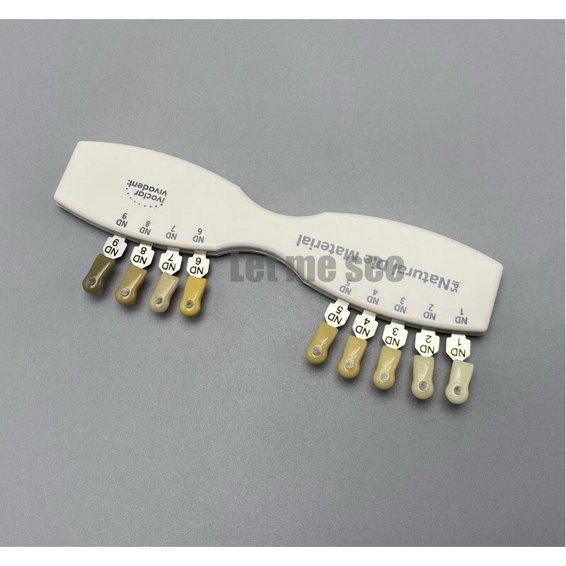 Unbranded Dental IPS Natural Die Material Shade Guide Ivoclar Vivadent