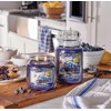 Village Candle Wild Maine Blueberry Large Glass Apothecary Jar Scented