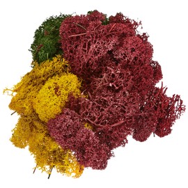 Noch 08620 - Dekormoos herbstlich Sortiert, Sonstige Spielwaren