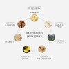 Rigenera Elixir Nutriente Reparador con Aceites de Argán, Aguacate y