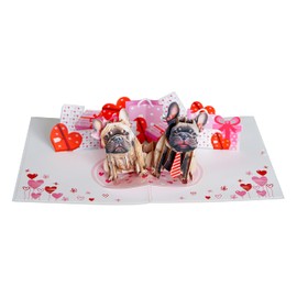 PQ Bees Pop Up Valentines Card for Couple Wife Her | 3D Anniversary Day Wedding Birthday Card for Significant Other (Size 6x8 In - Cute Pitbull Dog Couple).