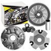 Area1 Replacement Variomatic for 50 cc 4-Stroke. Compatible with REX