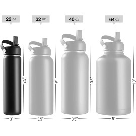 Brewberry Stainless Steel Insulated Water Bottle and Travel Mug 22 OZ - Midnight Black