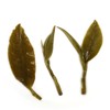 GOARTEA Biluochun Green Tea 250g / 8.8oz Nonpareil Supreme Suzhou