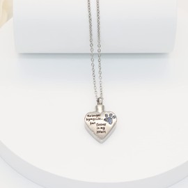 Miity Haiy Cremation Jewelry for Ashes Stainless Steel Heart Dog Cat Paw Pendant Locket Holder Ashes for Pet Keepsake Memorial Urn Necklace (Light Blue)
