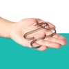 12 Small S Hooks Stainless Steel Flat 8 cm -
