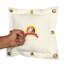 HYFAN Canvas Wall Bag for Wing Chun Kung Fu Boxing Training Punch Bag Striking Sand Bag (New White)