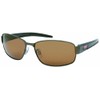 Coleman CO3054-2 Sunglasses, brown/brown