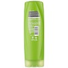 Sunsilk Lively Clean and Fresh Conditioner 300 ml