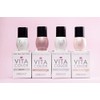 ONE SHOT - VITA COLOR Rubber Gel, Adicionado con Calcio,