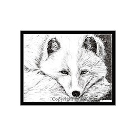 Arctic Fox, Limited Edition, Matted Pen and Ink Print
