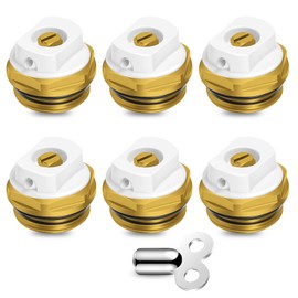 6 Stück Heizkörper Entlüftungsventile, 1/2 Zoll Messing Heizung Entwässerungsventil mit Entlüftungsschlüssel Entlüftungsstopfen Manuell Heizungsventil Entlüfter Heizung