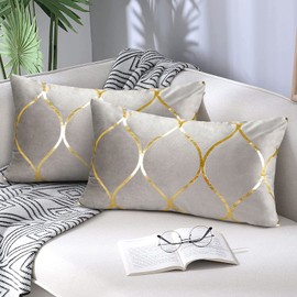 Hanrunsi Grey Cushion Covers Velvet 30 x 50cm Rectangle Pillowcase Decorative Throw Pillow Covers 12 x 20 inch for Sofa Bedroom Living Room Pack of 2