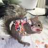 Squirrel Skirt Harness Leash Set Ferret Vest Adjustable Traction Rope