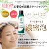 [For Gray Hair] Rishiri Carbonated Color Shampoo (Black) 6.3 oz