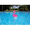 Poolmaster 32123 Flamingo Chlorine Dispenser, Pink