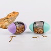 Bearded Dragons Enrichment Toy, Pet Feeder Interactive Toy for Lizards,