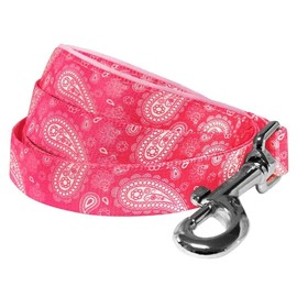 Blueberry Pet 5 Colors Paisley Flower Print Dog Leash with Soft & Comfortable Handle, 5 ft x 3/4", Pink, Medium, Leashes for Dogs