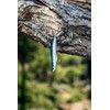 Rapala - Maxrap Walk'n Roll Fishing Lure Construction ABS -