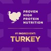 Wellness CORE+ Dry Dog Food with Freeze Dried Pieces, Wholesome